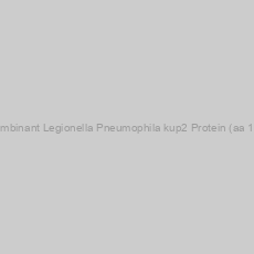 Image of Recombinant Legionella Pneumophila kup2 Protein (aa 1-625)